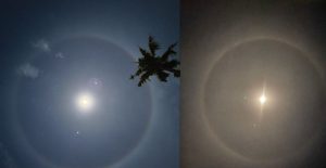 Untitled Design (18)