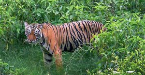 Untitled design (32)