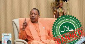 Untitled Design (38)