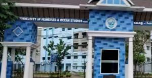 Untitled Design (56)