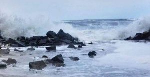 Untitled Design (54)