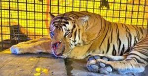 Untitled Design (76)