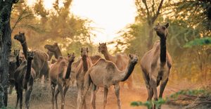 Untitled Design (13)