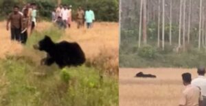 Untitled Design (16)