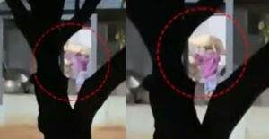 Untitled Design 2024 01 24t105105.790