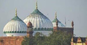 Untitled Design (24)