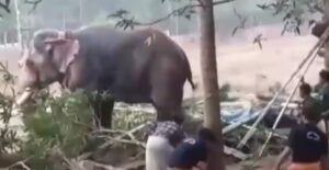 Untitled Design (24)