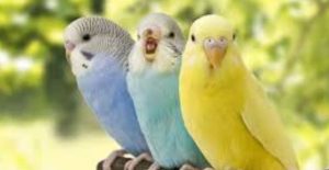 Untitled Design (34)