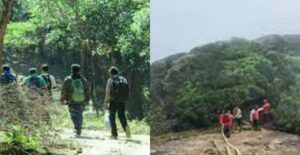 Untitled Design (69)