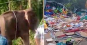 Untitled Design (70)