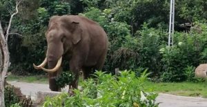 Untitled Design (91)