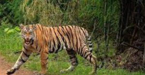 Untitled Design (94)