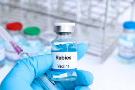 Rabies Vaccine