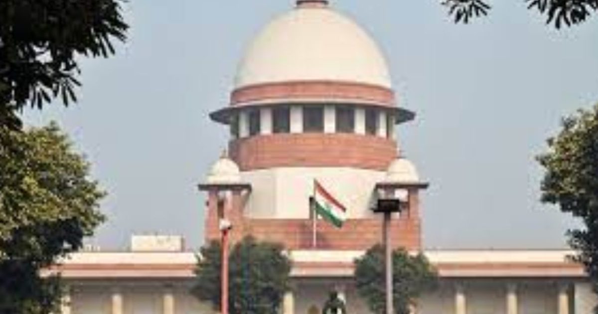 Untitled design (14)