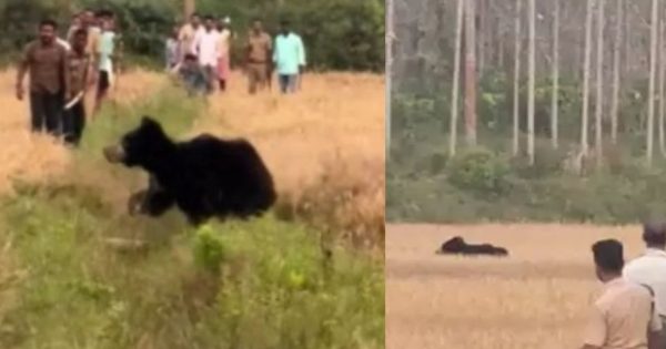 Untitled Design (16)