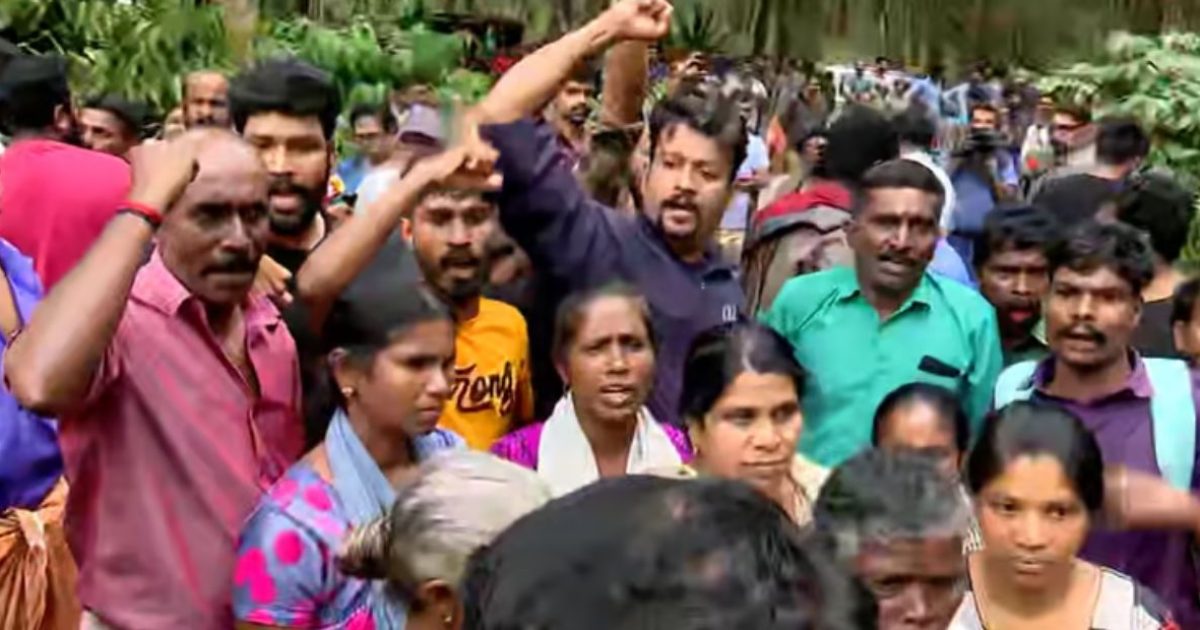 Untitled Design (36)