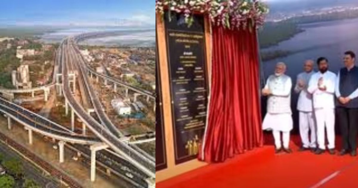 Untitled Design (73)