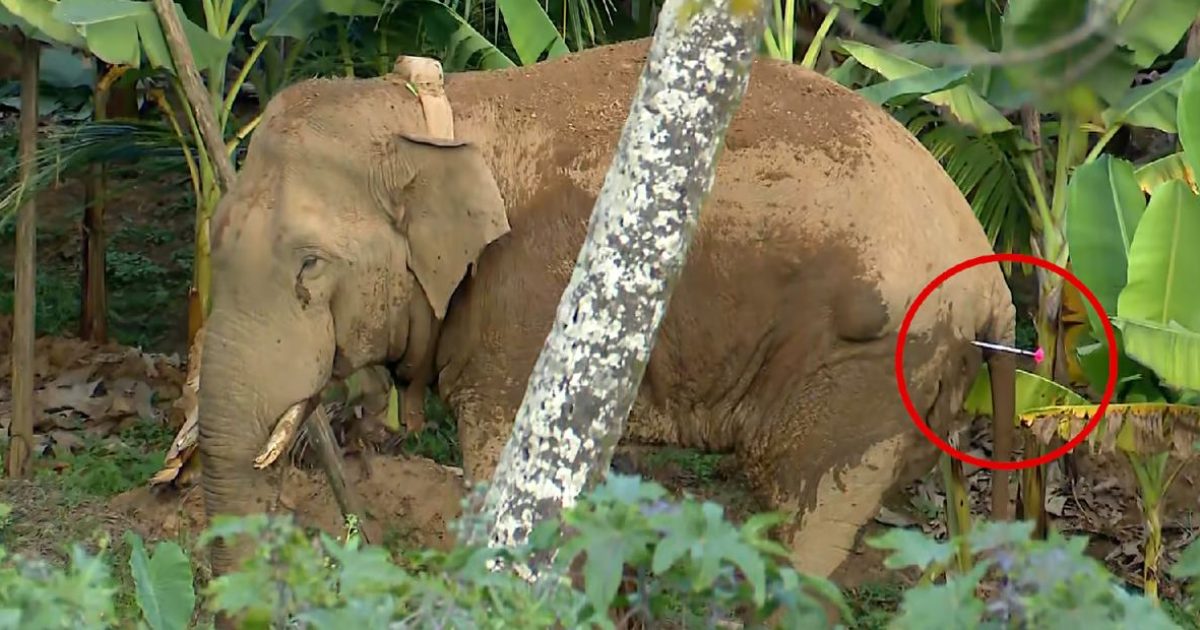 Untitled Design (74)