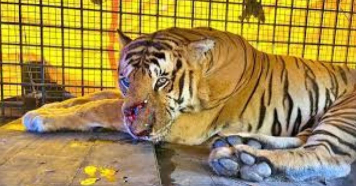 Untitled Design (76)