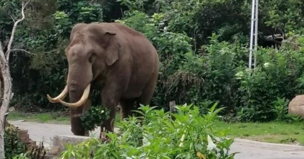 Untitled Design (91)