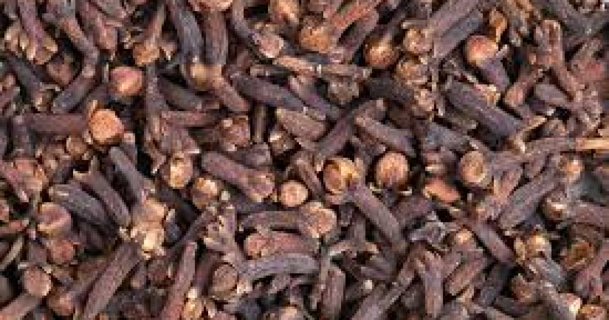 Clove