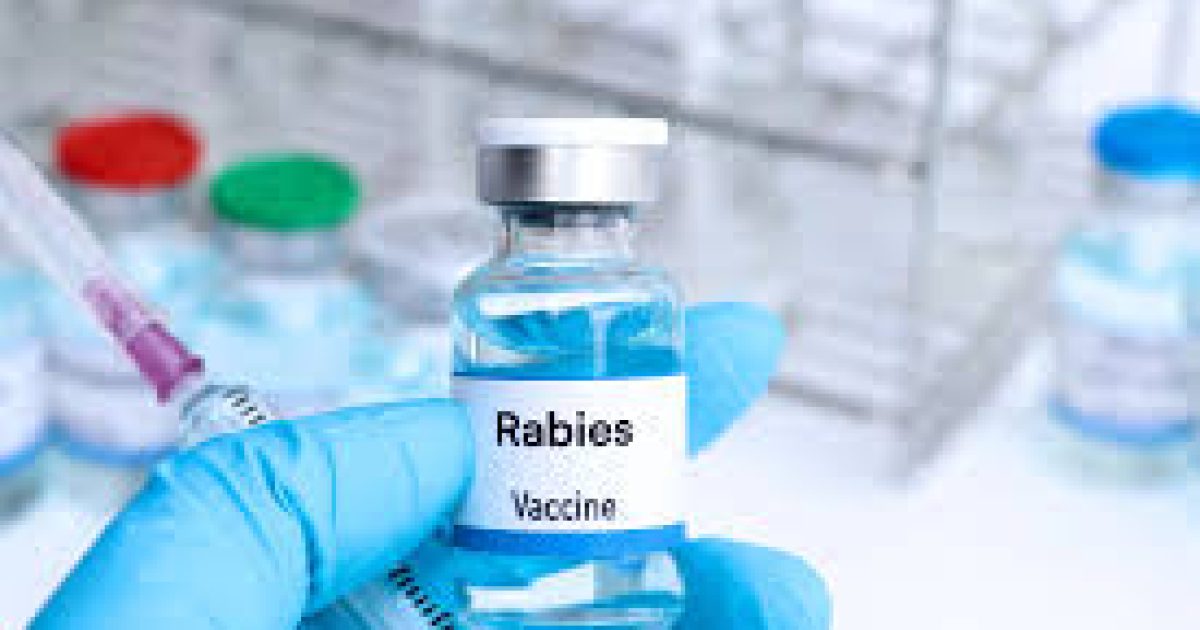 Rabies Vaccine