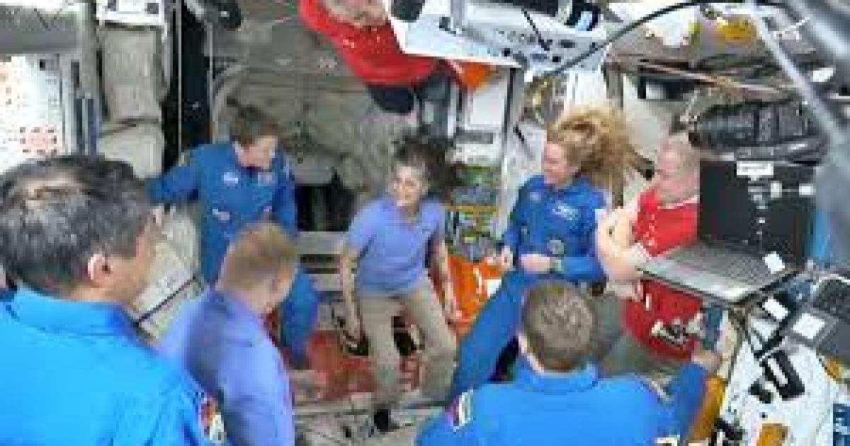 Space Q 10